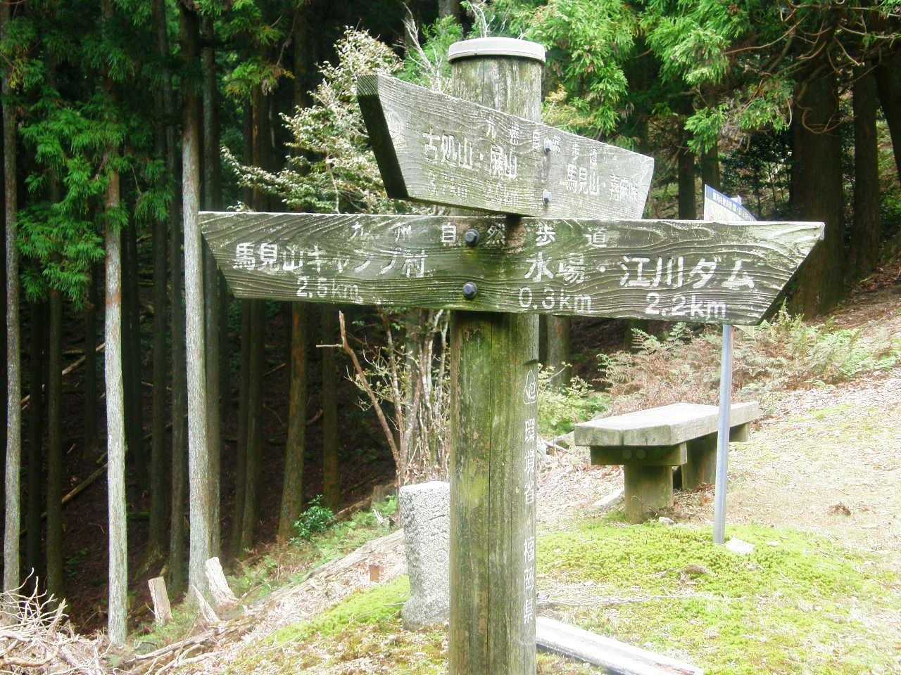 宇土浦越の分岐。
←帰りはココから下山🤗