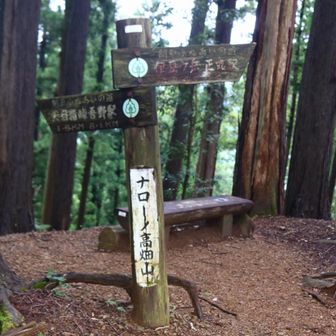 そして謎の「ナローノ高畑山」。後で調べたら「楢生ノ高畑山」が正式名称らしいです。
