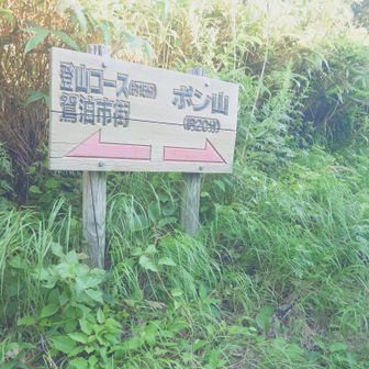 時間はかいてある。
