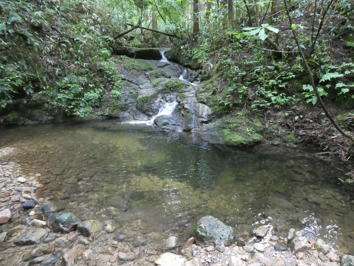 綺麗な沢
