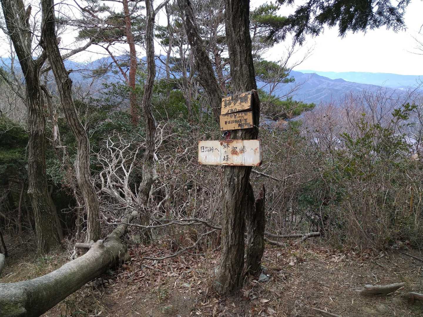 鉢ヶ峰に到着。行程の1/3くらい
