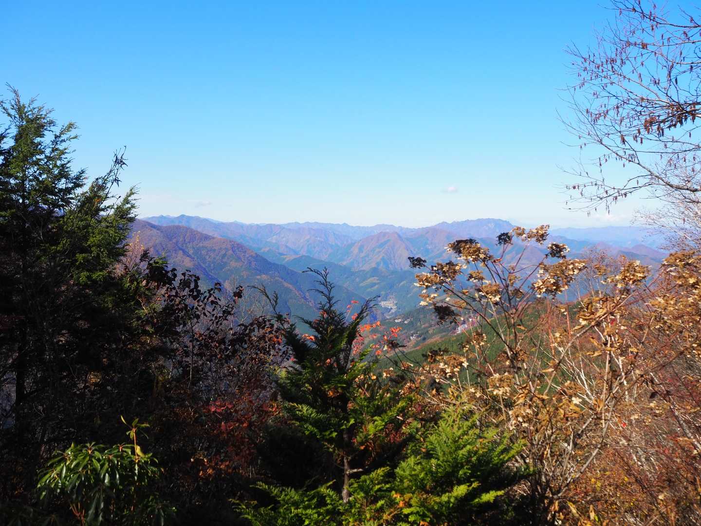 白岩山-前白岩山-お清平-霧藻ヶ峰-地蔵峠-三峰ビジターセ 縦走コースの写真