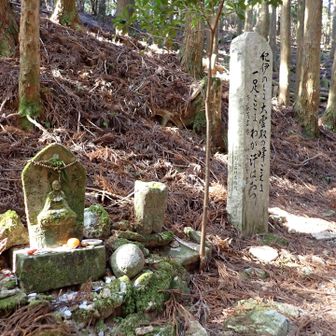 石倉峠「紀伊のくに　大雲取の峰ごえに　一足ごとに　わが汗はおつ」　斉藤茂吉