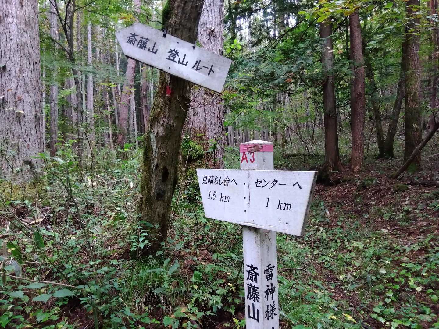 斎藤山 周回コースの写真