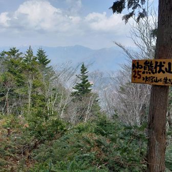 んでラストの熊伏山到着🙌
山頂で休んでいた方と暫し談笑。
戸倉山の情報もありがとうございました🙇
