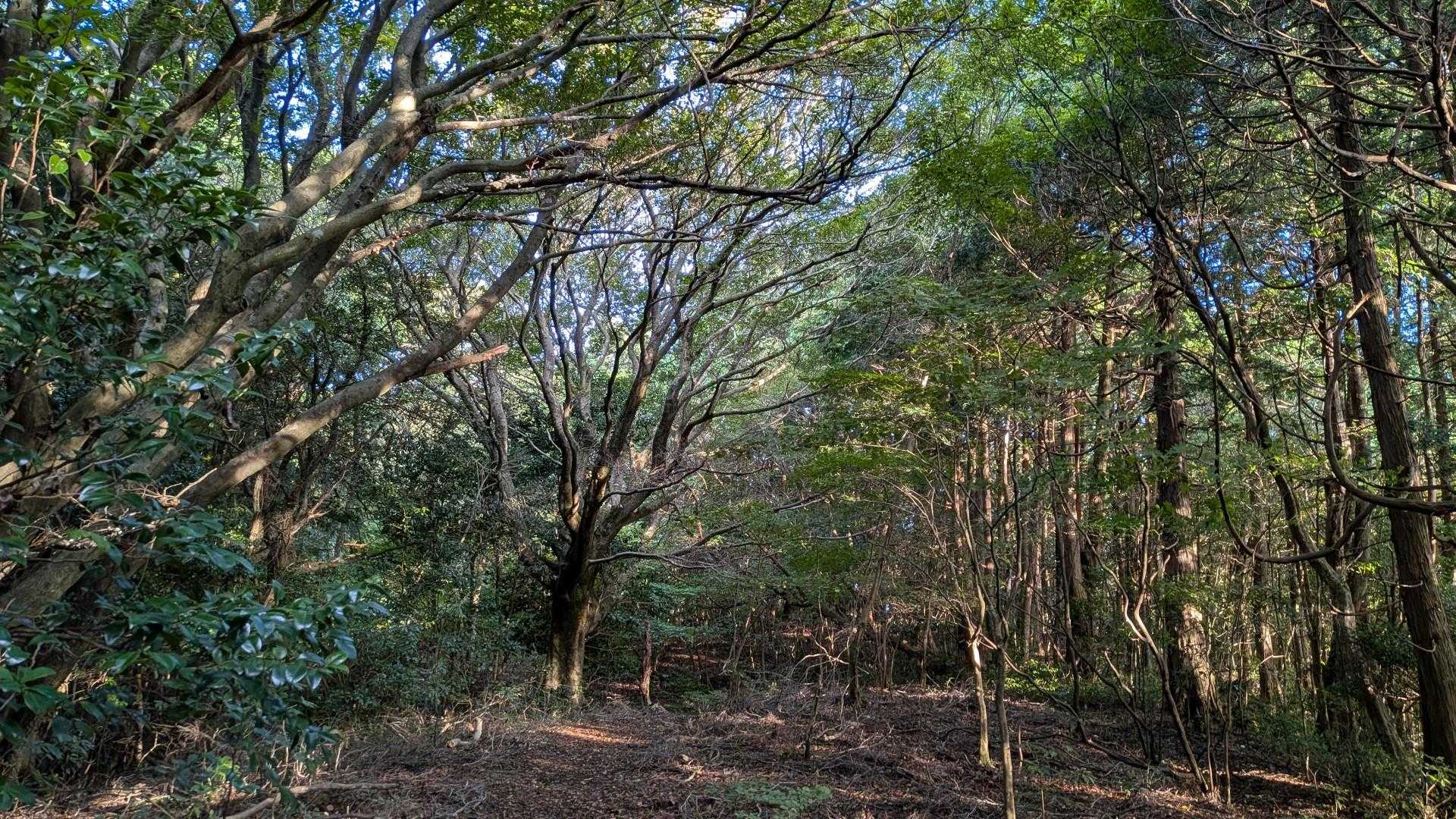 風が冷たくて寒かったです。
いい縦走日和😆