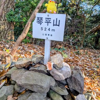 ③琴平山に登頂です🙌
　眺望無し
　相棒もお疲れ様〜♪