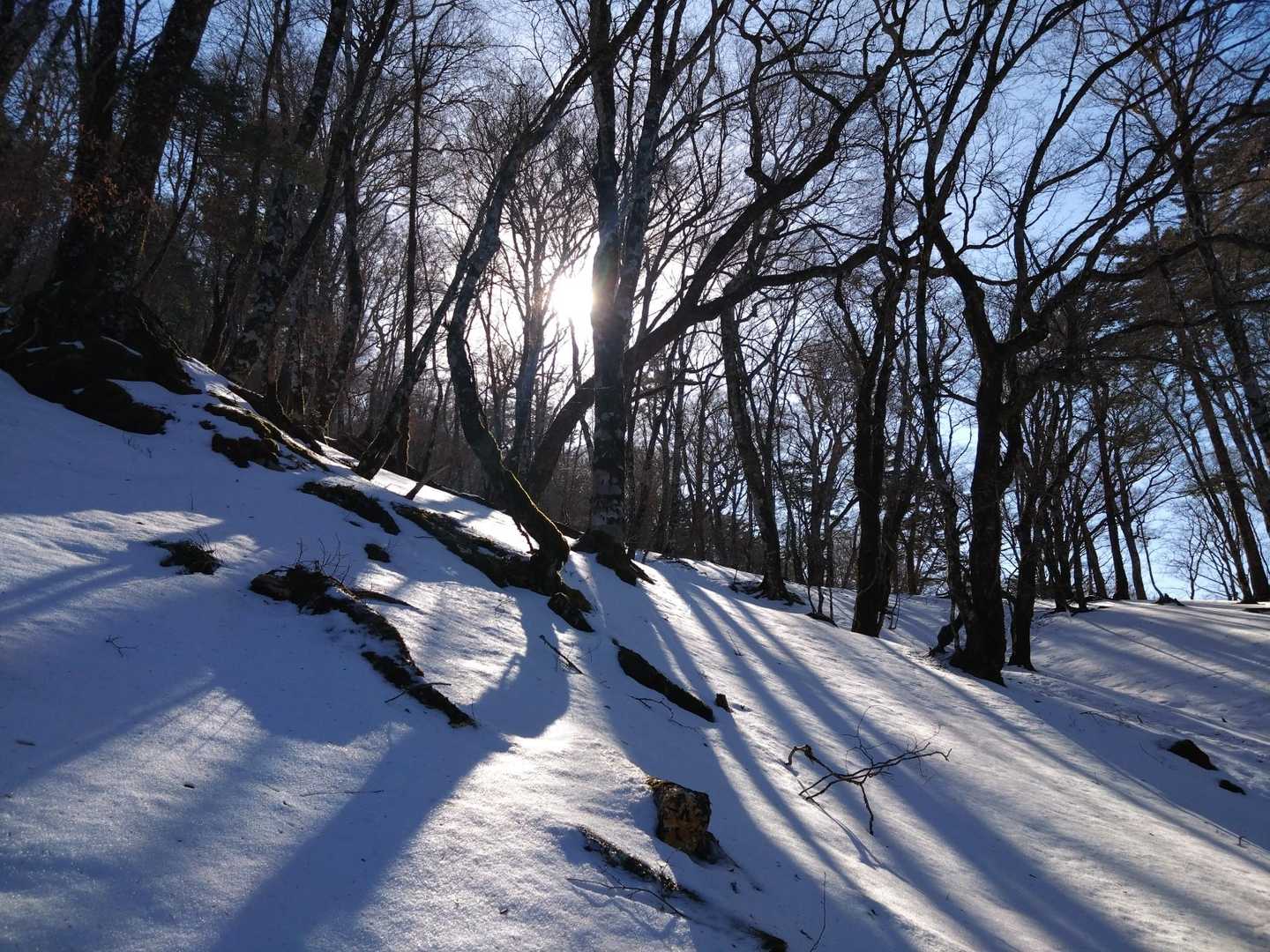 雪が出現