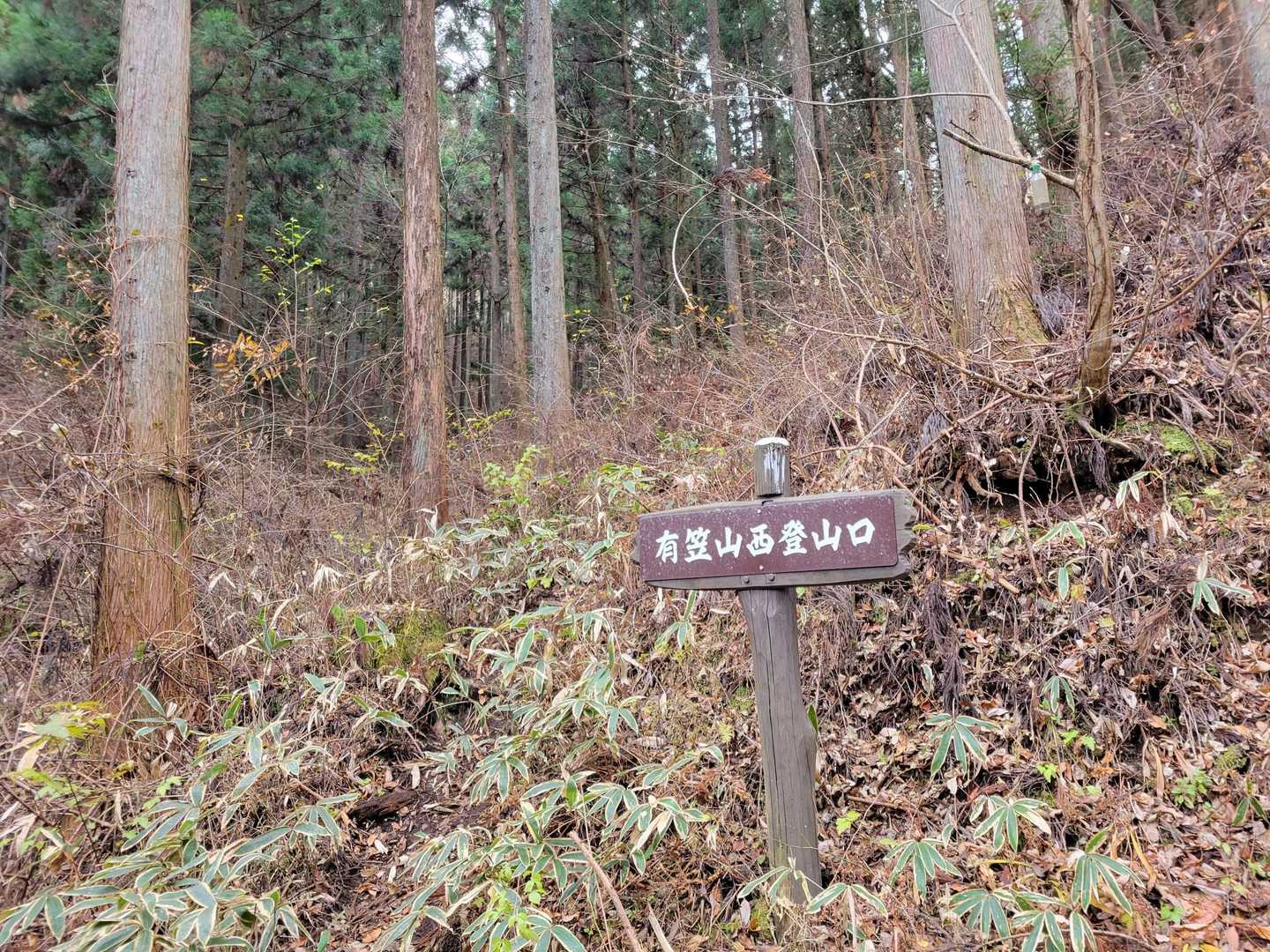 ここから登山道