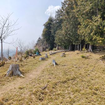 山頂は結構広いです
ここが天使の森？