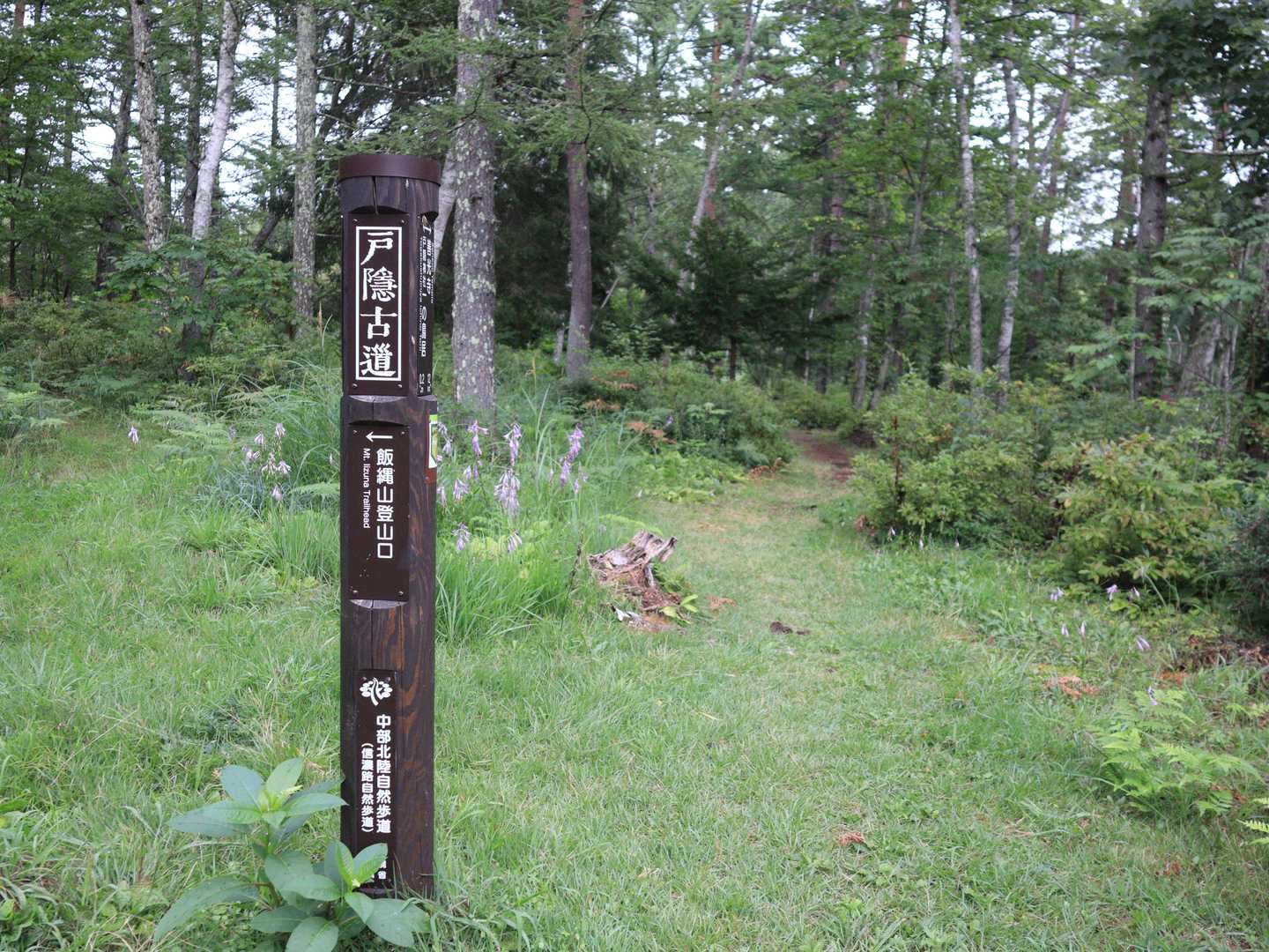 ←飯縄山登山口
ってちゃんと書いてあるのになぜか直進🤣