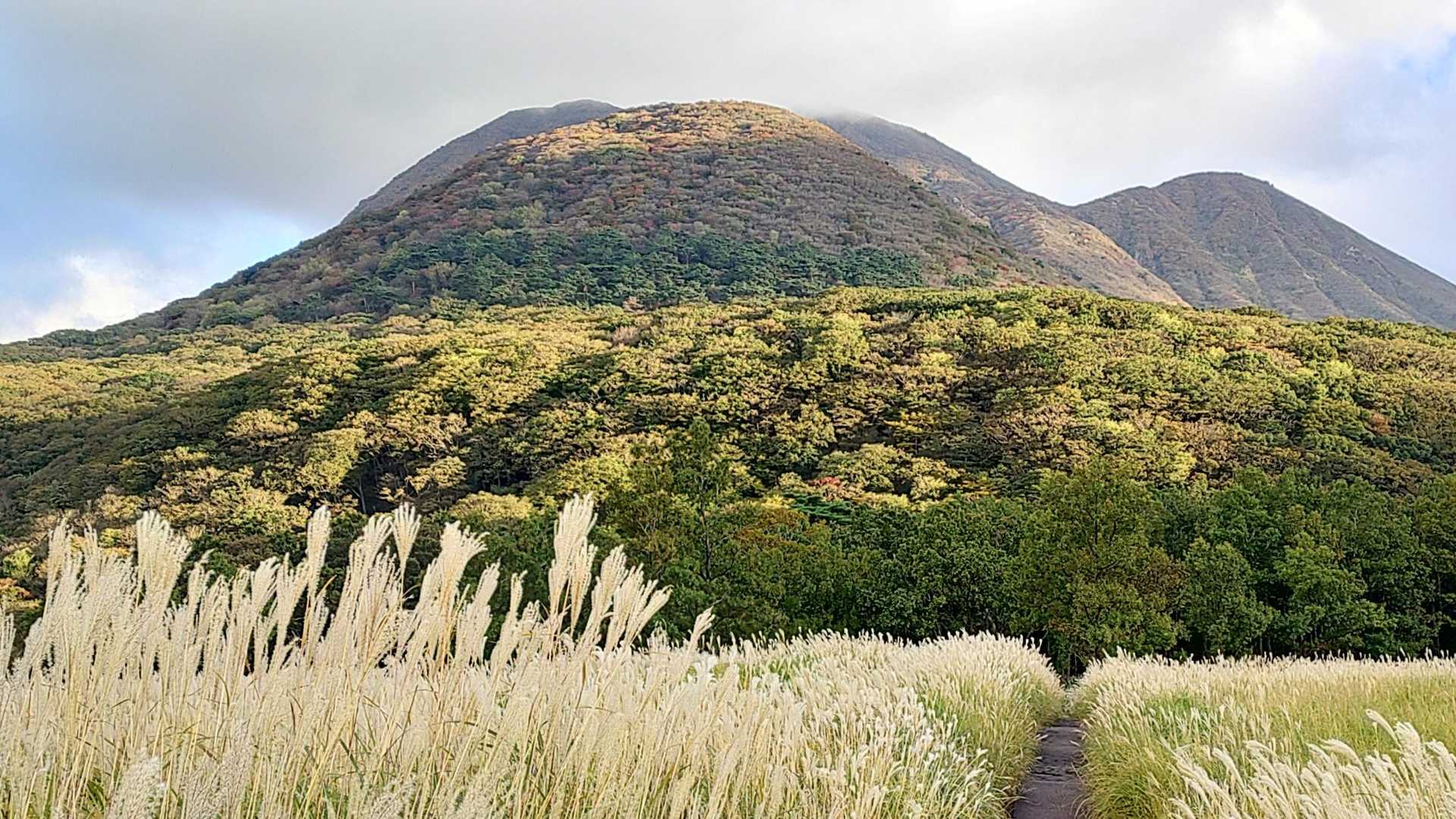くじゅう登山口-雨ヶ池越-諏蛾守越-三俣山-指山自然観察路 周回コースの写真