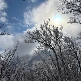 風はそこそこあり