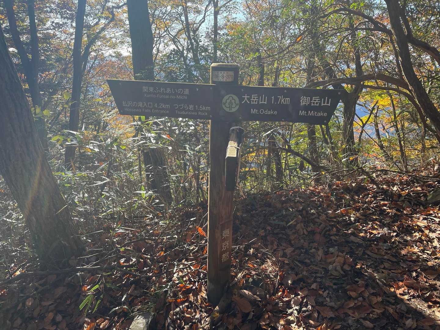 大滝-大岳山 往復コースの写真