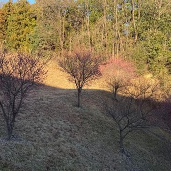 ほぼバリエルートっぽかった。ちゃんと帰ってこれて良かった〜😅