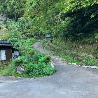 ここが登山口です。