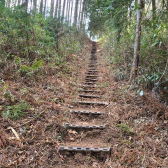 いきなりの急登💦