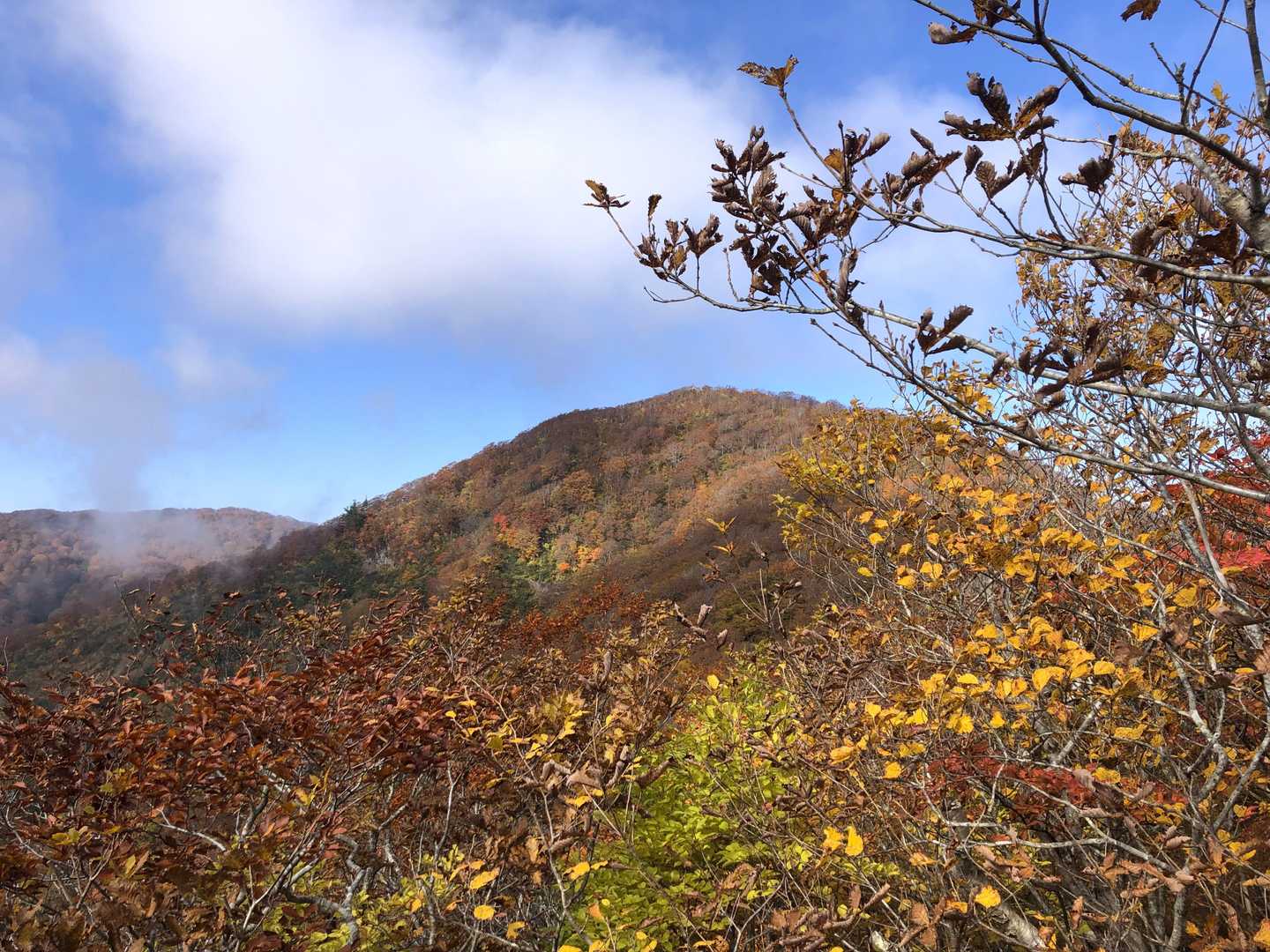 うがい清水登山口-駒ヶ岳 往復コースの写真