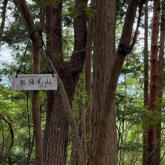 奥槇尾山⛰️
