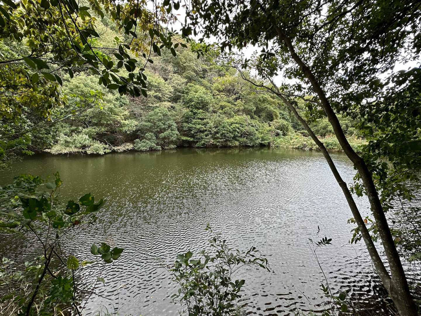 左子池です🌊✨
ここまで来たら、今日も怪我せず下りて来れたとホッとします😊