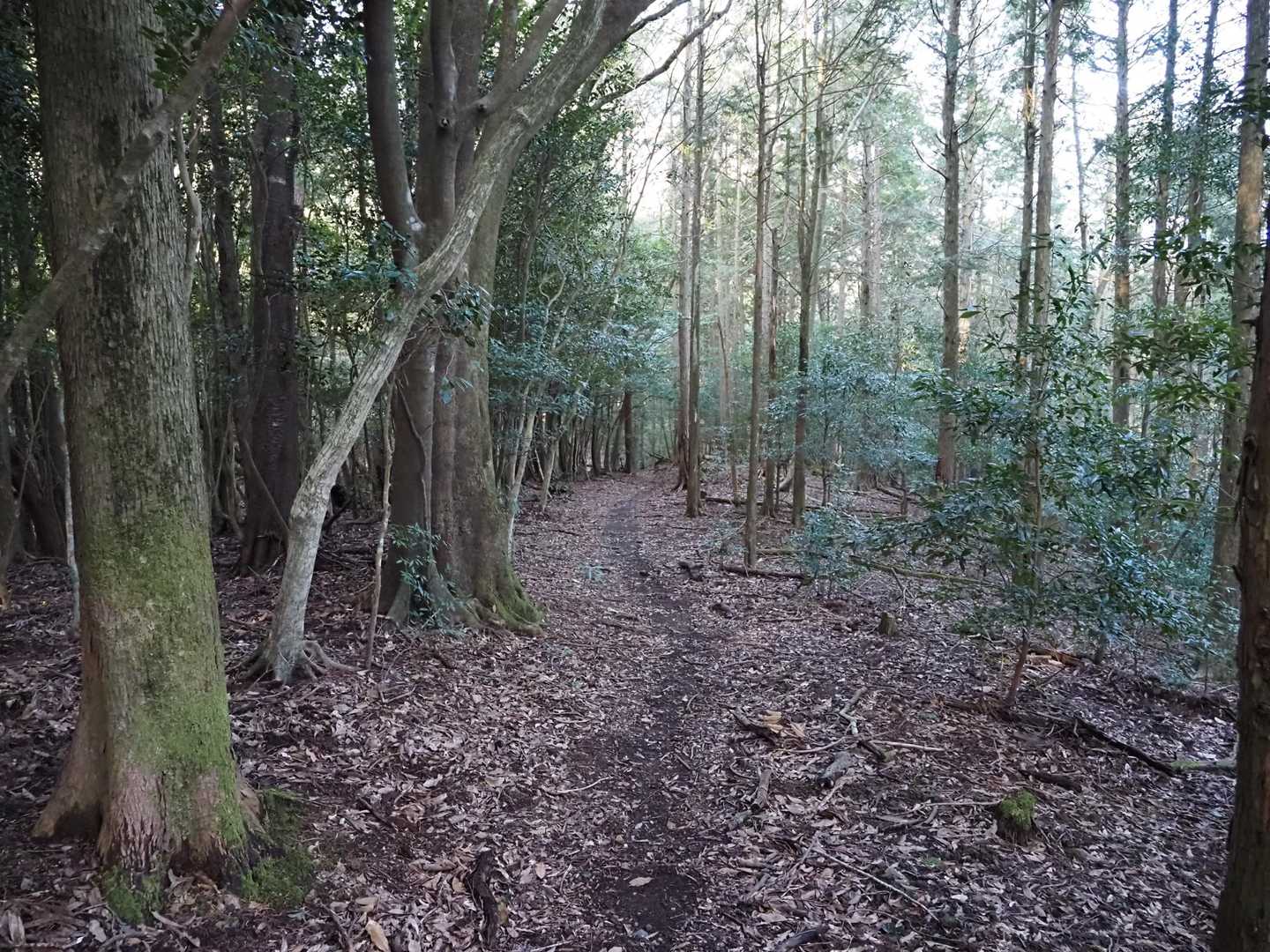 高千穂峰登山口-二子石 往復コースの写真