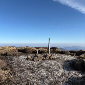 周り全部霜柱！