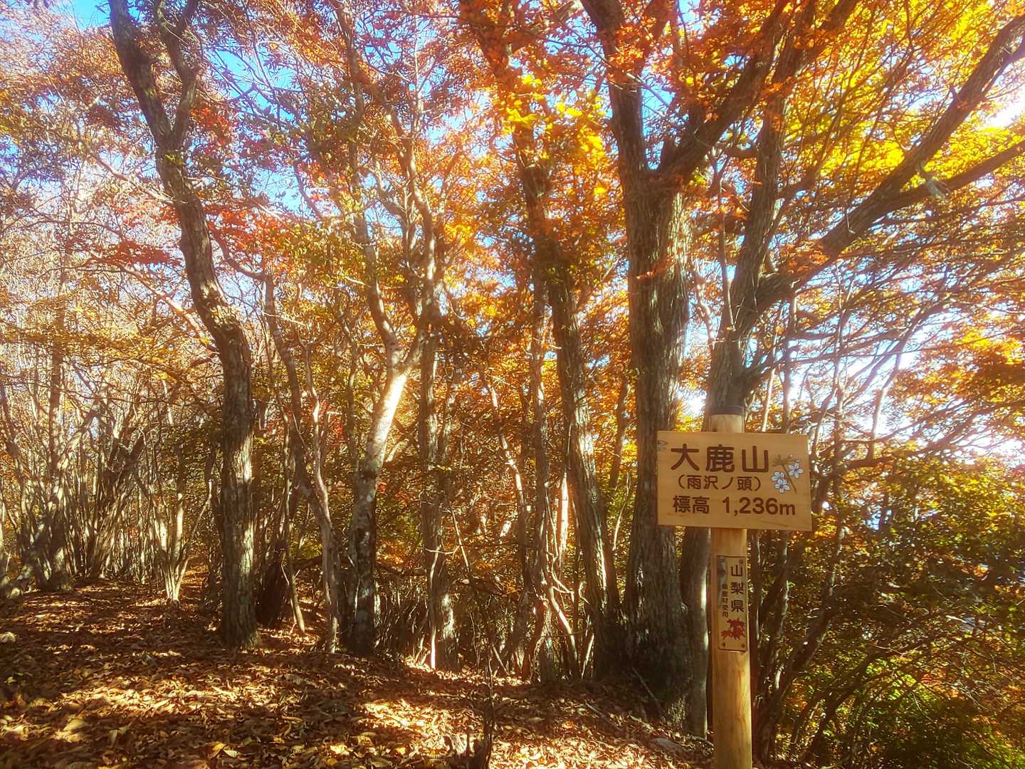 ｢大鹿山｣はかつてはこの辺り一帯の山々の総称でした。