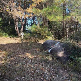 男山山頂着いた。
