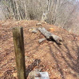 立派な2等三角点。
ここで一服。