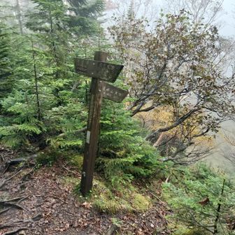 座禅山火口付近