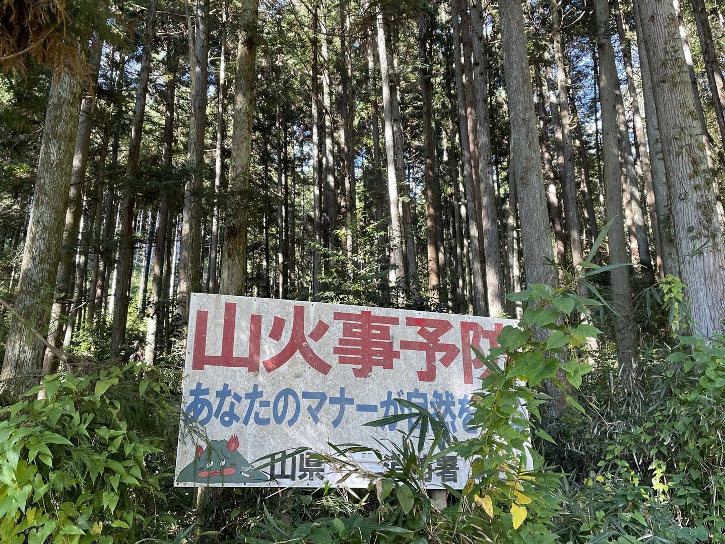 マナーを守ってお山⛰ですね😊
