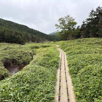 木道が助かります☺️