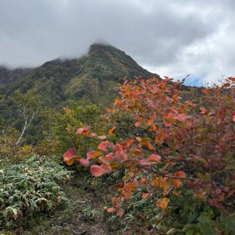 まぁ実際どピーカンよりこの位の方が紅葉引き立つよね(まだポジティブ)