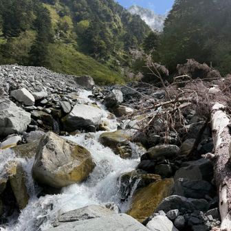 なかなかの水量