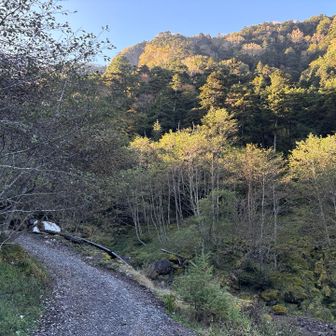 登山道が広く綺麗に整備されてる！