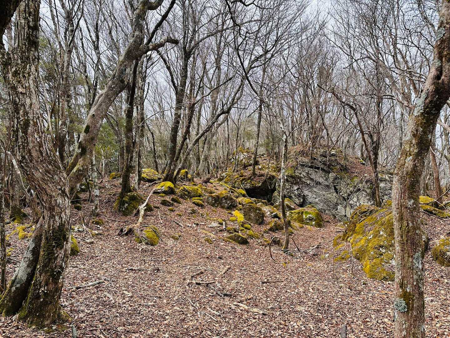 阿佐尻山登山口-阿佐尻山 往復コースの写真