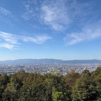 展望台…西側を見てる！