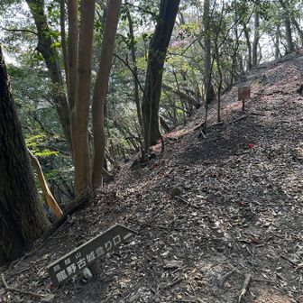 鶏籠山⛰️登ります。