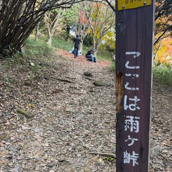 ココも賑わってました