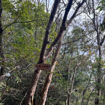 登頂⛰️🚩