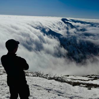 いつまでも見ていられる。