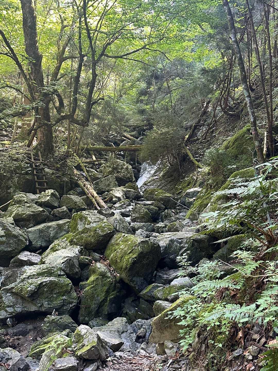 明神平-明神岳-判官平-桧塚-桧塚奥峰-前山-薊岳 周回コースの写真