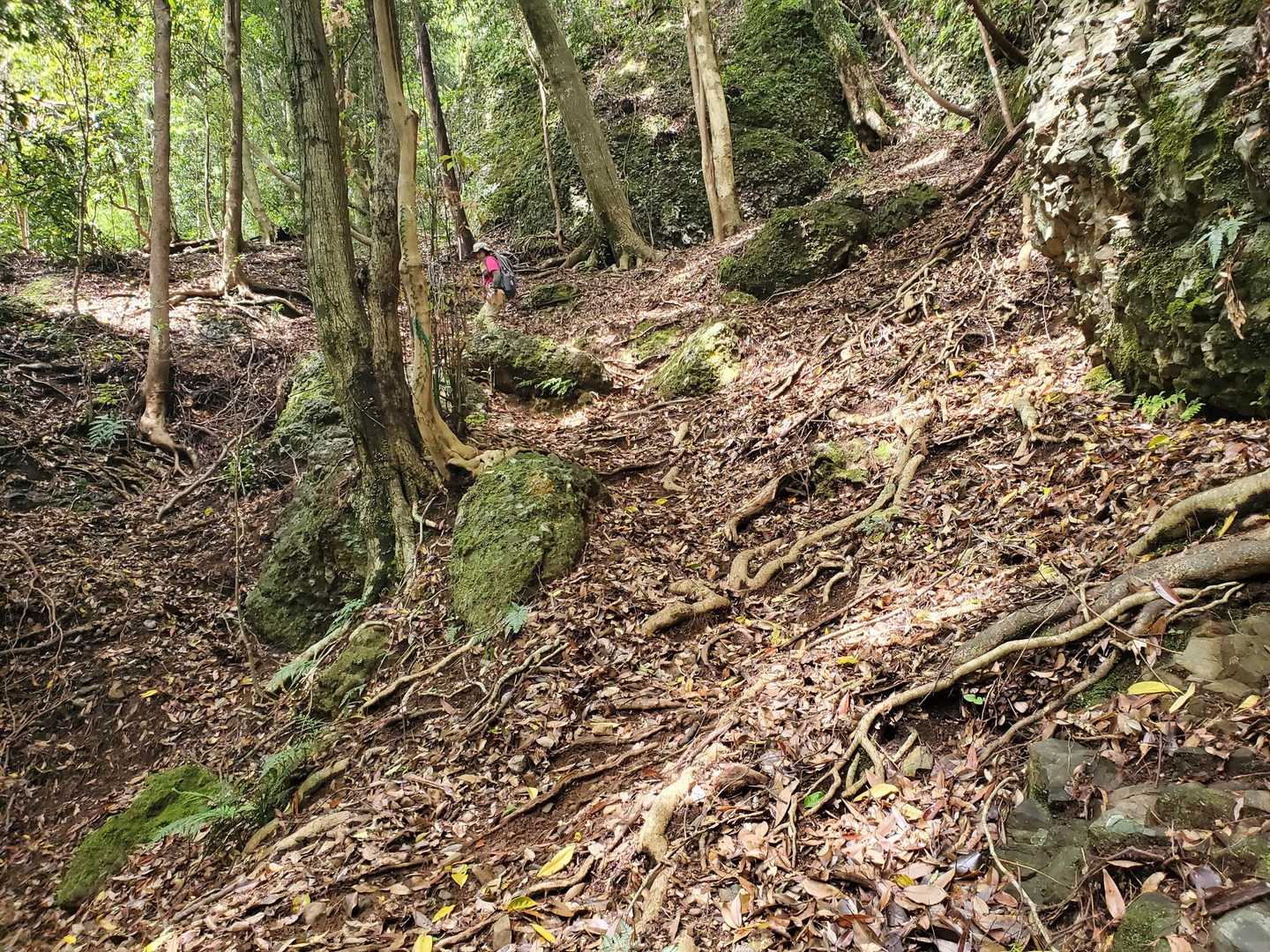 青牧峠からの荒れた登山道を下っていた時に、膝を痛めてしまった相方。。。
その足をカバーしながら自分のペースで下りてきている😆