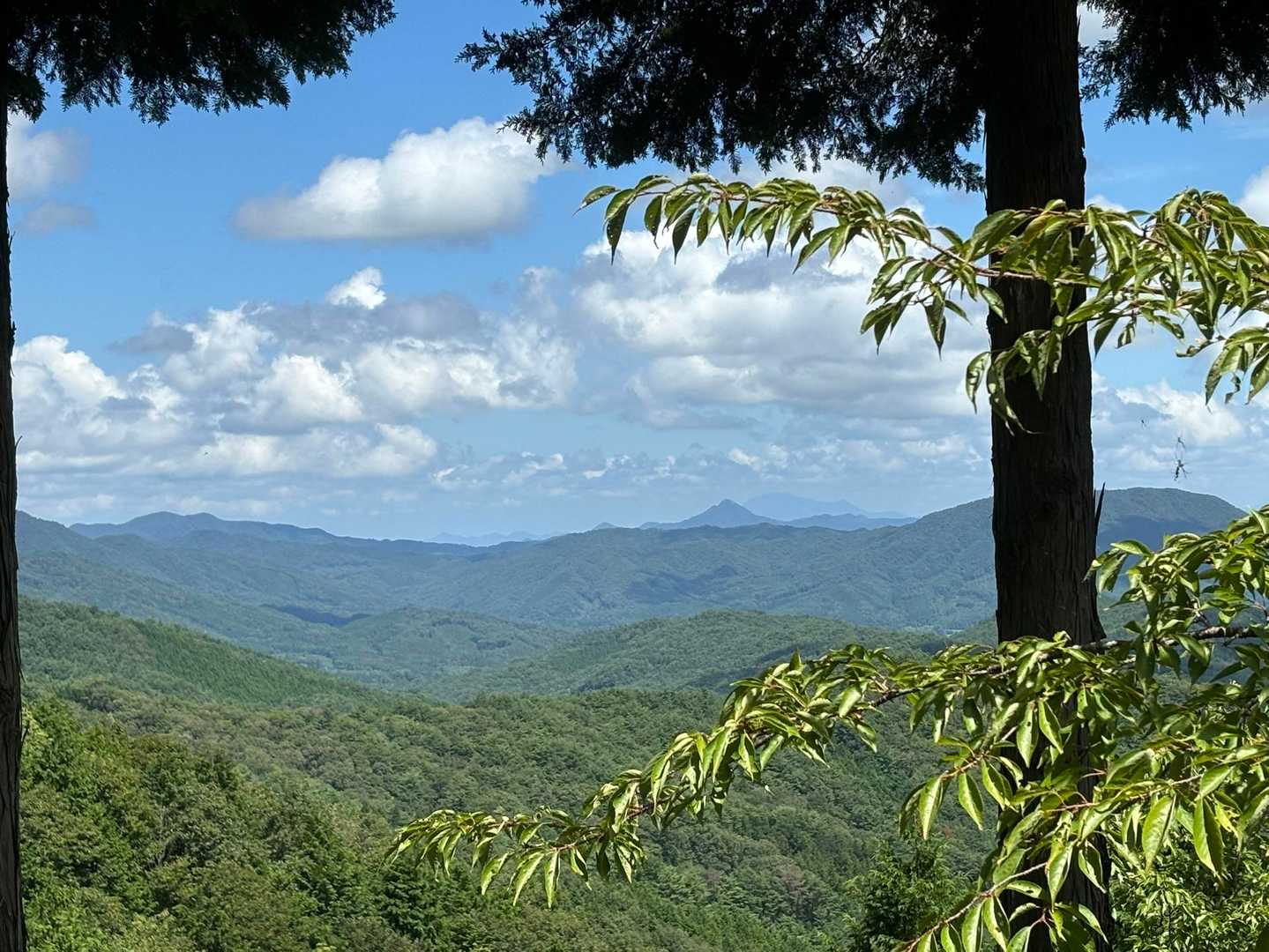 そこから遠くに見えるとんがりお山は石見冠山か・・・
その奥にうっすらと三瓶山。