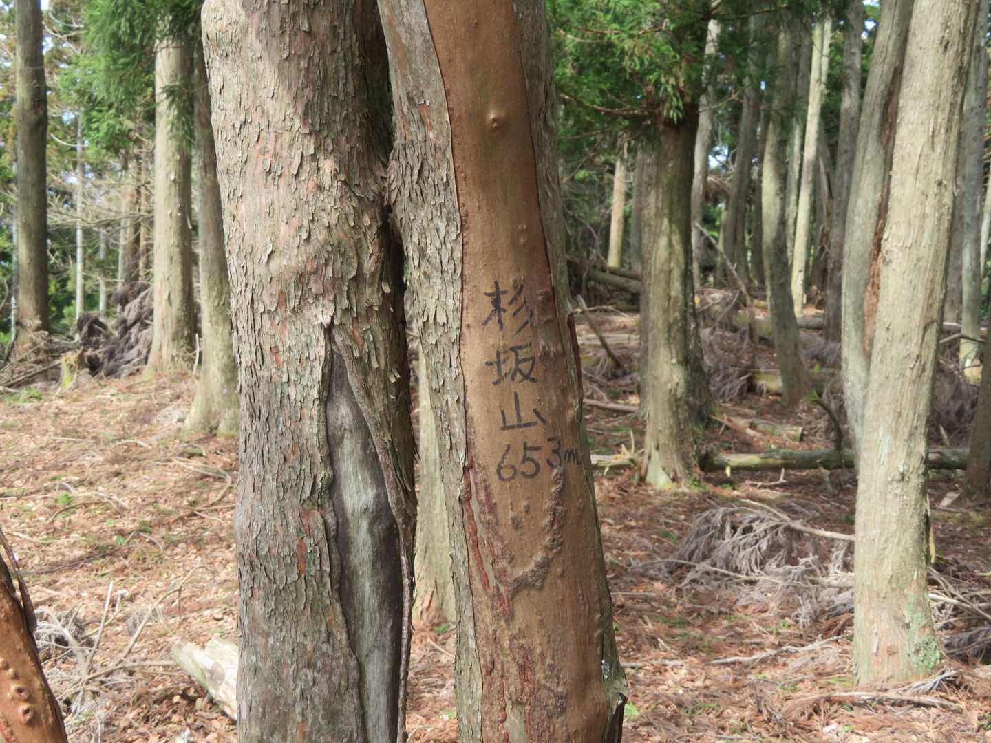 〈第３ピーク〉
まさか、私に限って。。。
みたいな。。。


