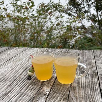 夏みかんジュース　一気飲み！
急いで下山しま〜す