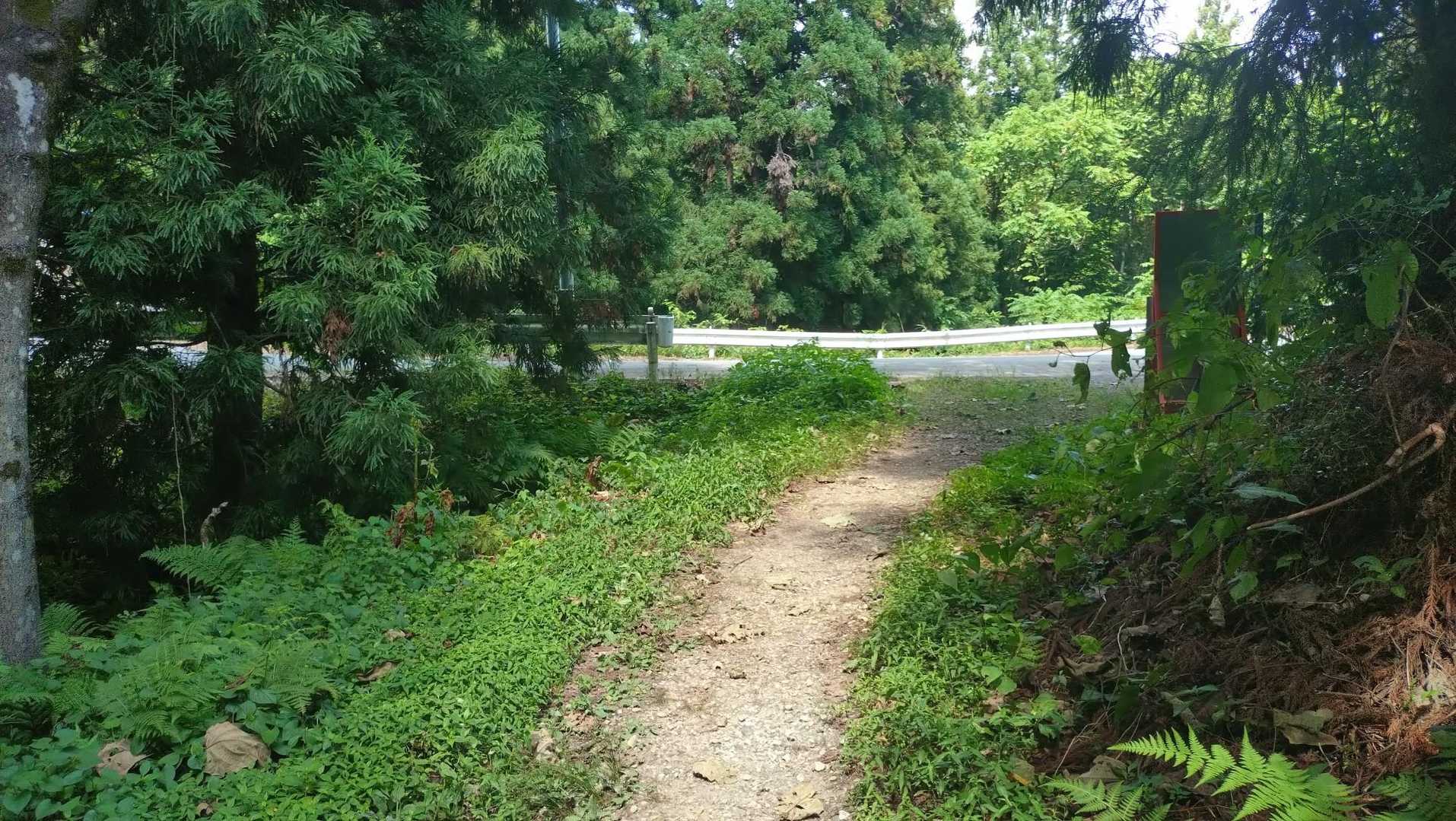 小走りで、自分で風を作って下山🏃