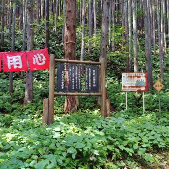掲示板