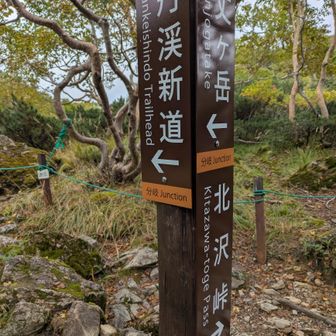 北沢峠へ