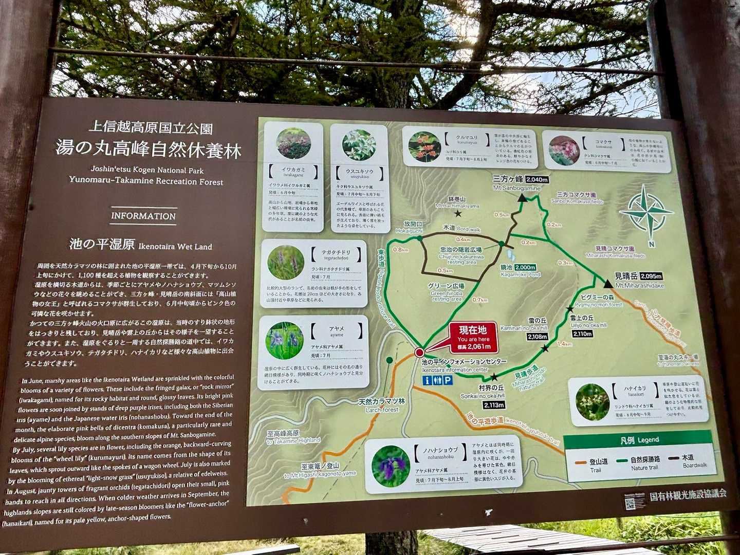 湿原散策案内図
黒雲☁️は通過して☀️晴れています
晴れると暑い🥵ですね！

当初の計画通り歩いて来ました
お疲れ様でした♪